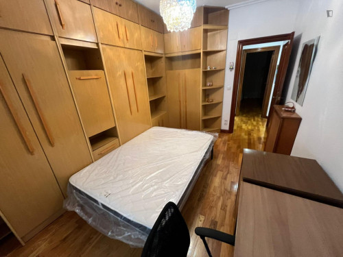 Big double bedroom in the heart of Logroño