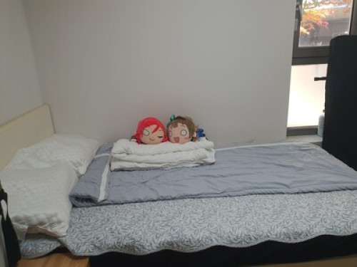 At home in Seoul