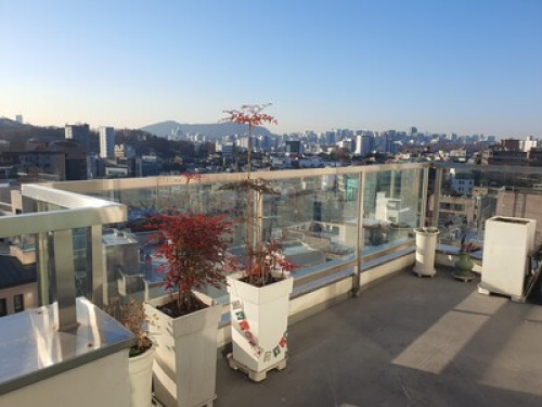 At home in Seoul