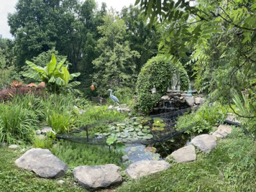Serene Home - Gallery - 28