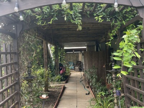 Serene Home - Gallery - 26