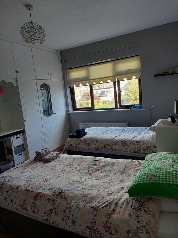 Room 2(Single Bed) - 1