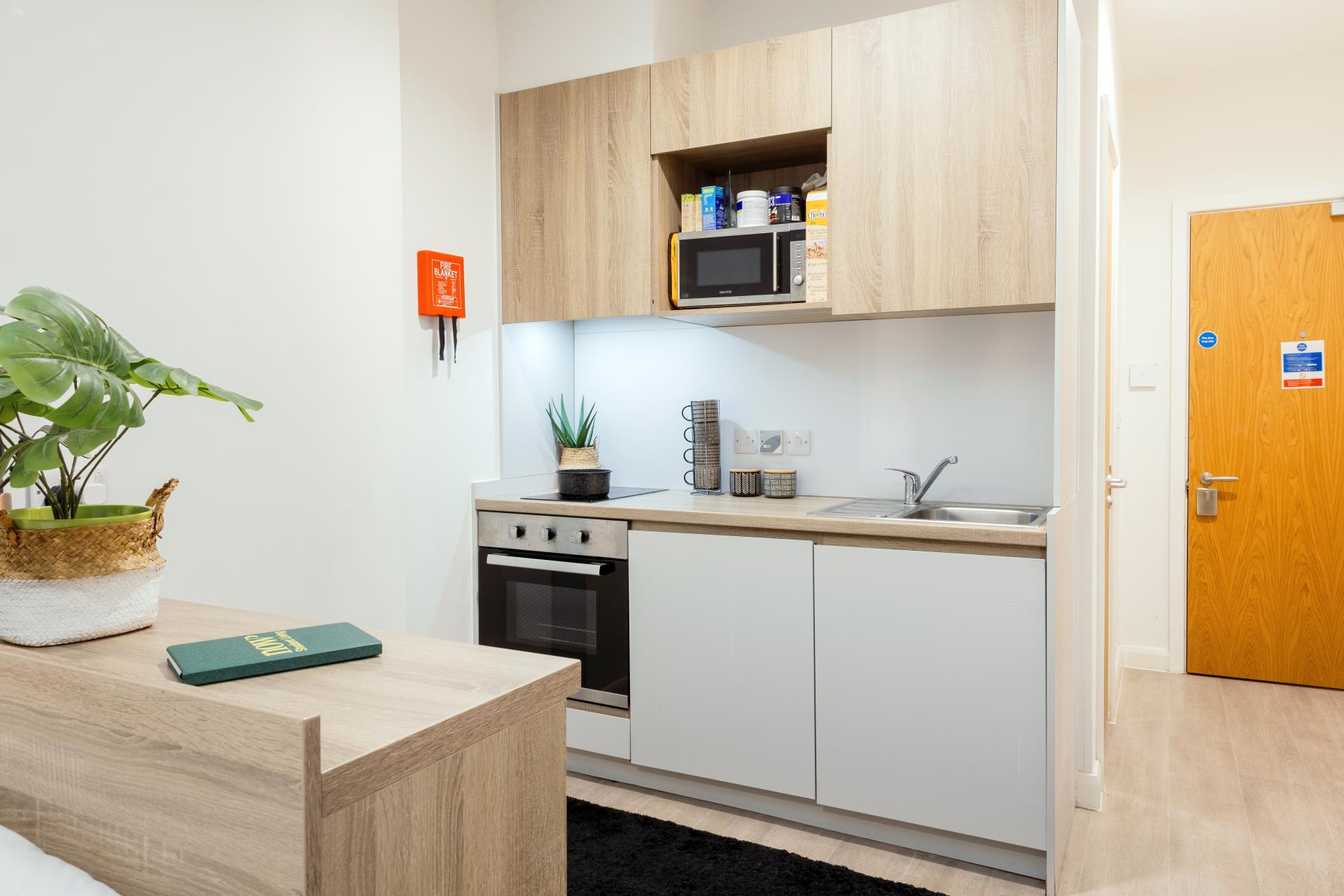  Bronze Studio  -  Skyline  - Gallery -  2