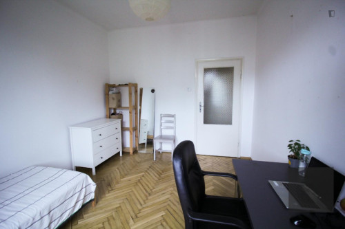Pleasant single bedroom in Grzegórzki  - Gallery -  5