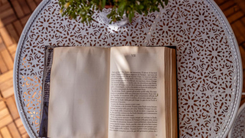 Appealing 2-bedroom apartment near the S. Rossore train station 