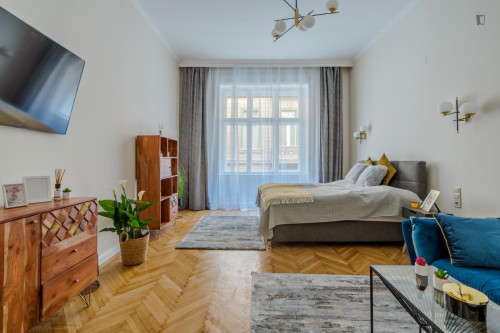 Nice 1-bedroom apartment in Terézváros