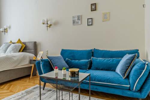 Nice 1-bedroom apartment in Terézváros