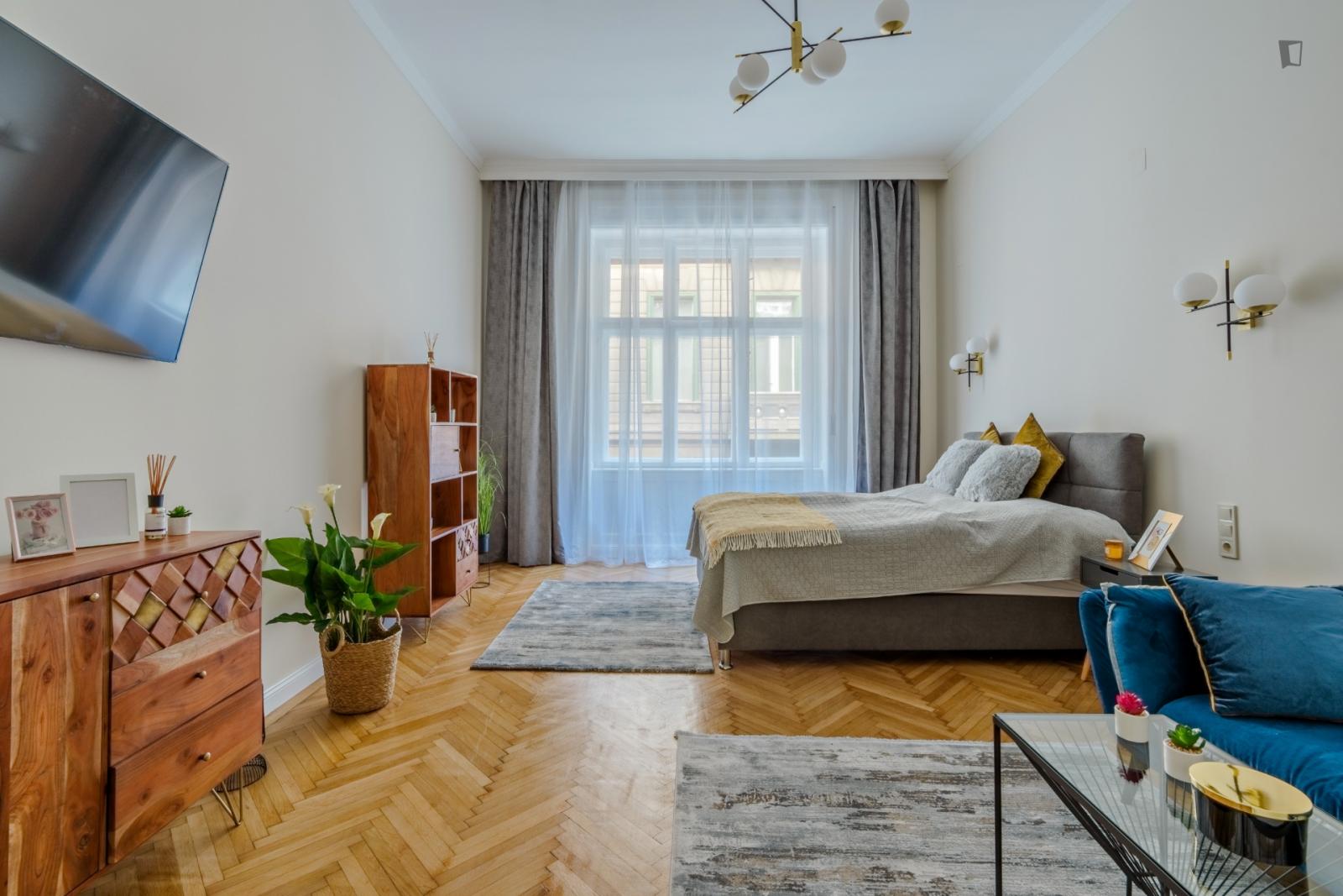 Nice 1-Bedroom Apartment In Terézváros - Nice 1-bedroom apartment in Terézváros - Gallery - 1