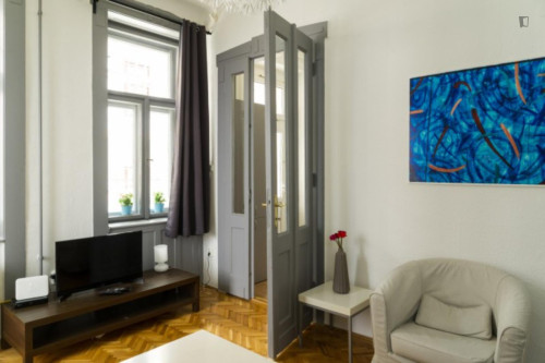 Very welcoming 1-bedroom apartment in Terézváros