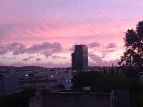 OPEN HOUSE  - Gallery -  5