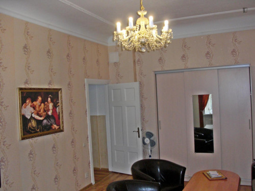 Beautiful 3-bedroom apartment in the Central District  - Gallery -  2