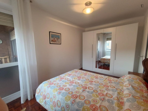 Bright double bedroom in shared flat in Ermitagaña-Mendebaldea