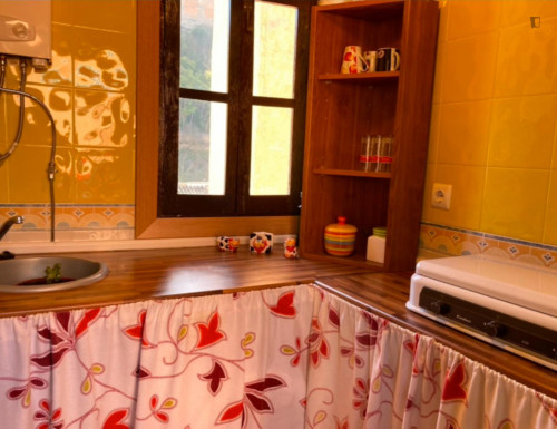 Exciting 2 Bedroom Apartment close to Alhambra - Gallery - 8