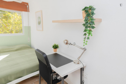 Great looking single bedroom - Gallery - 5
