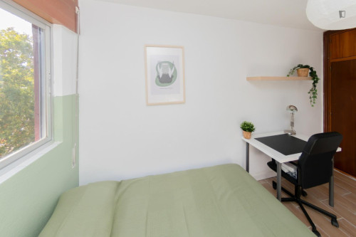 Great looking single bedroom