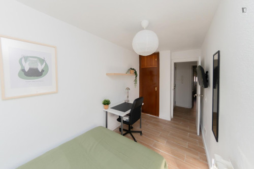 Great looking single bedroom