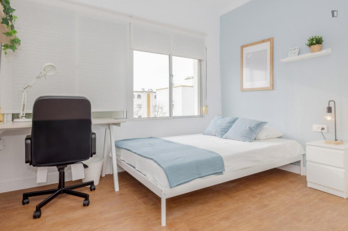 Great looking single bedroom