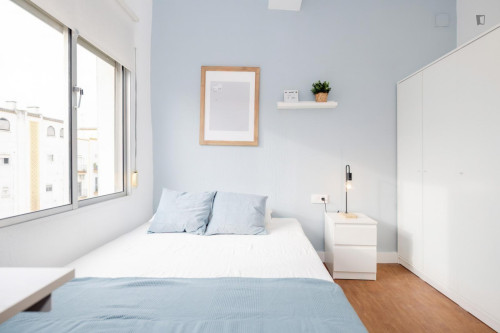 Great looking single bedroom