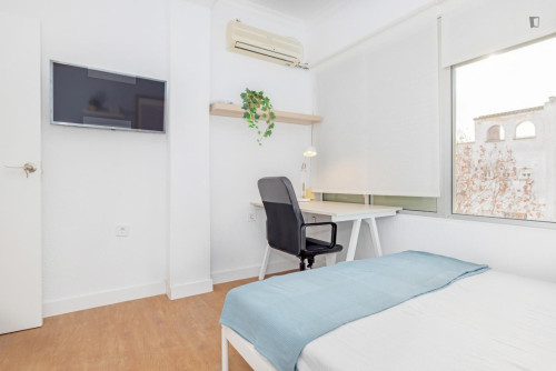 Great looking single bedroom