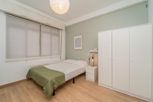 Great looking single bedroom