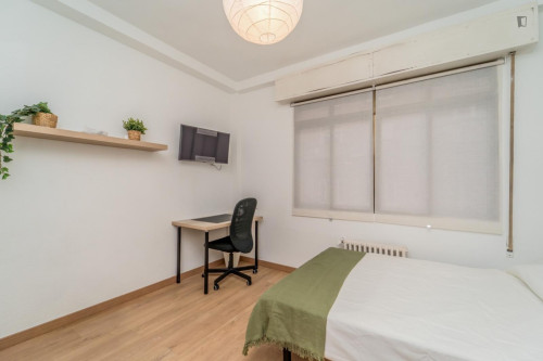 Great looking single bedroom