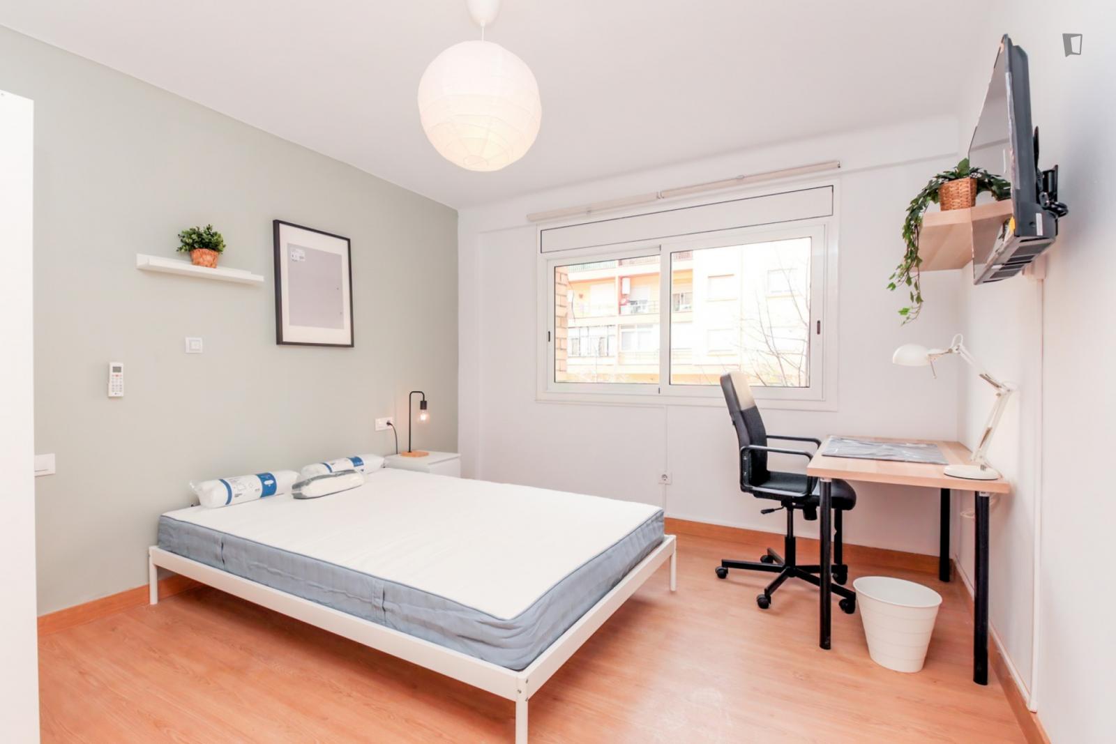 Attractive Single Bedroom - Attractive single bedroom - Gallery - 1