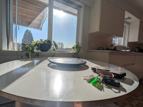 1 Bedroom  - Gallery - 6
