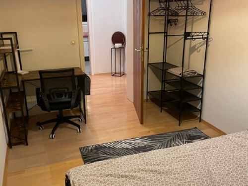 Cozy shared flat