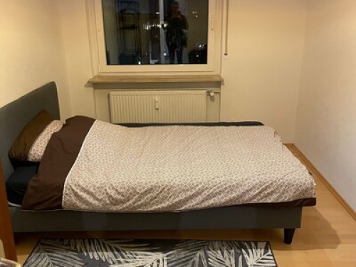 Cozy shared flat