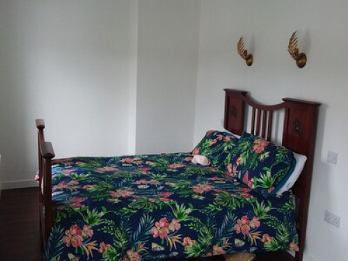 City centre home - Gallery - 12