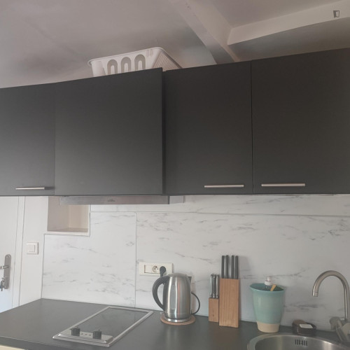 Beautiful studio apartment in the city center