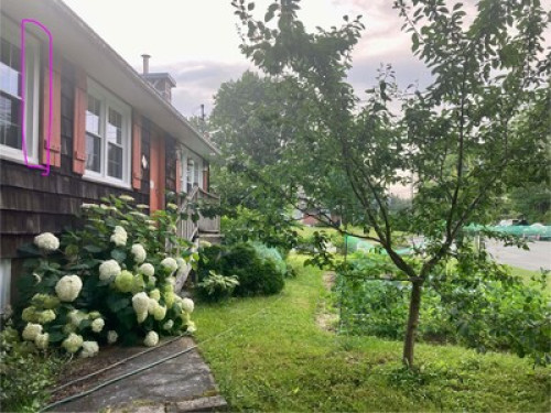 peaceful and comfortable  - Gallery - 10
