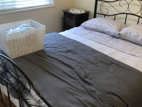 casual-easygoing-homestay-w-coquitlam-106006672520250101053017AM