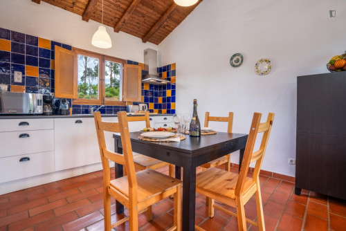 Beautiful 1-bedroom house in countryside Mexilhoeira Grande - Gallery - 18
