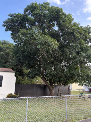 Spacious House w/ relaxing neighborhood nearby  West Buena Vista Park