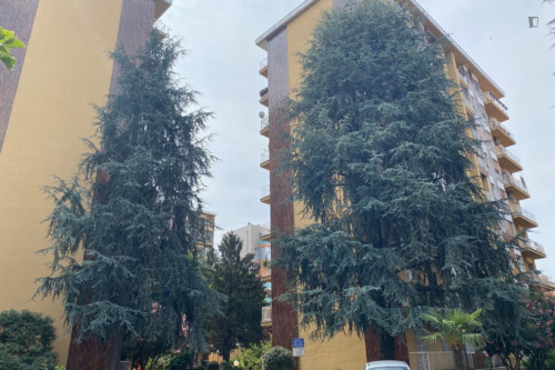 Large and welcoming 3-bedroom apartment in Lodi-Brenta - Gallery - 23