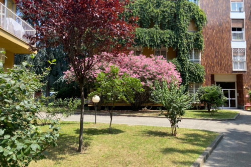 Large and welcoming 3-bedroom apartment in Lodi-Brenta - Gallery - 24