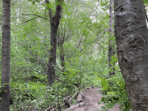 Private Room on Quiet Street 