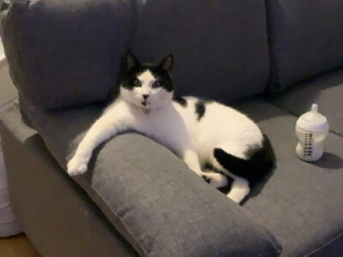 Welcoming Cork City Home 