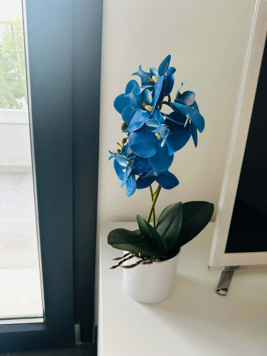 Apartment in Via Italia, Quartu Sant'Elena for 70 m² with 2 bedrooms - Gallery - 16