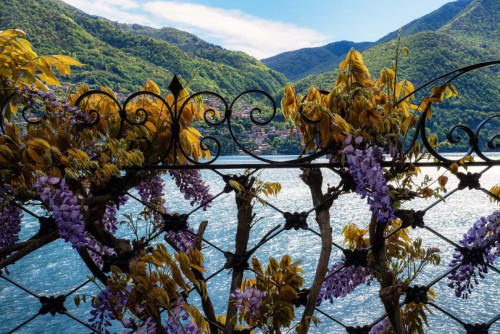 DARSENA LAKE VIEW