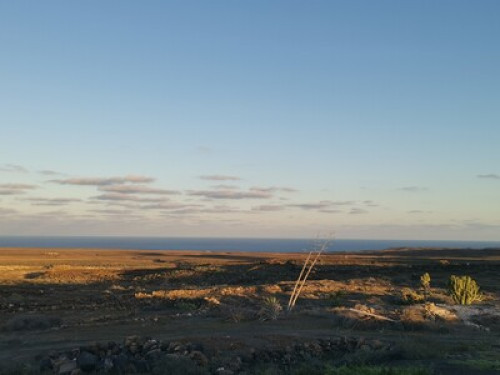 A room in the middle of nowhere
