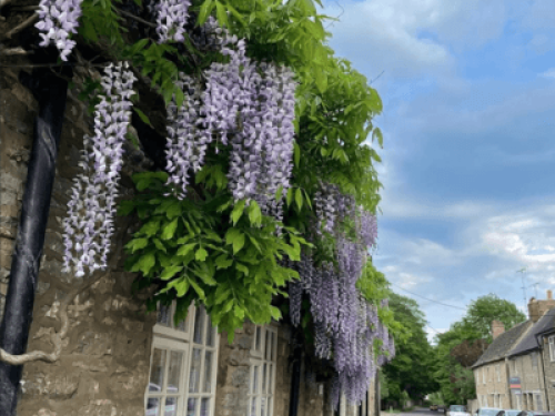 Language Homestay Cotswolds home   - Gallery -  5