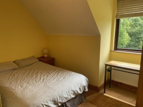 Kenmare English Immersive Stay - Gallery - 8
