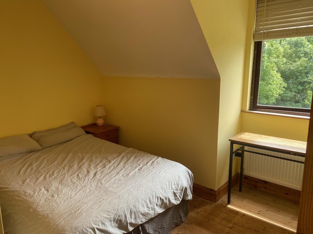 Double Room(Single Bed) - 1