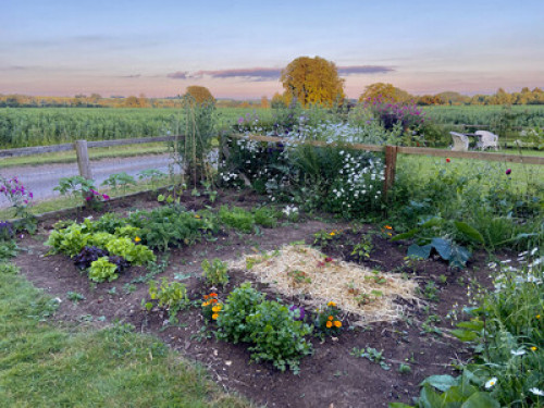 Home Farm Cottage  - Gallery -  5