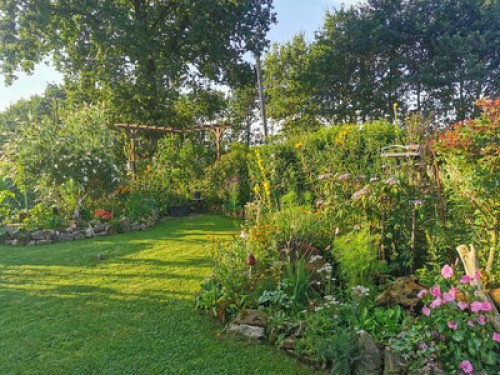 Rooms: Peace, Nature & Workplace