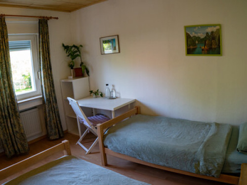 Cozy room with two beds