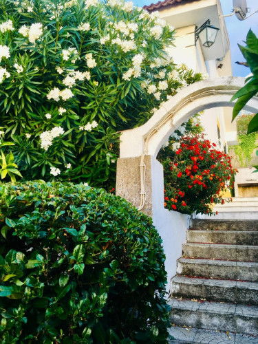 Happiness 3 Bedroom House with a swimming pool close to International School Of Palmela