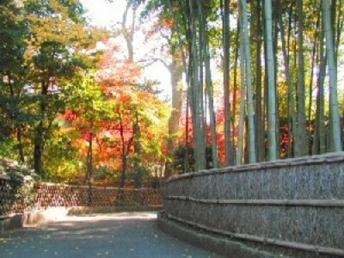 Home in Tokyo